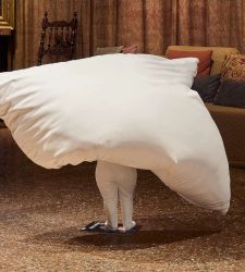 Erwin Wurm, la s&aacute;tira de un hombre sin risa. Sobre la exposici&oacute;n del Palazzo Fortuny