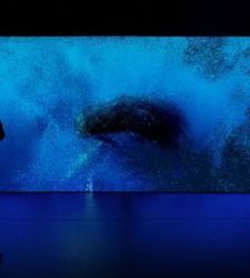 Bienal de Venecia 2026, el oc&eacute;ano en el centro de la exposici&oacute;n As Above, So Below en la Giudecca