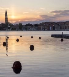 Er&ouml;ffnung der Biennale Venedig 2026: Die ersten Bilder von "In Minor Keys
