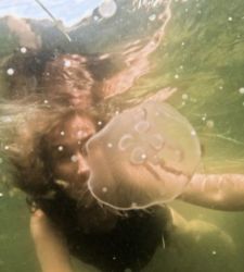 La Polonia alla Biennale di Venezia 2026 porta un'installazione sull'ascolto dei linguaggi marginalizzati