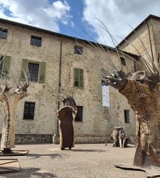 Hay un artista que vuelve a dar vida a los &aacute;rboles heridos. Su exposici&oacute;n se puede visitar en Sala Baganza