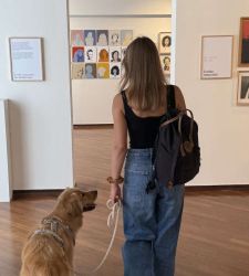 Friuli Venezia Giulia, the pet-friendly museums where culture and animals travel together