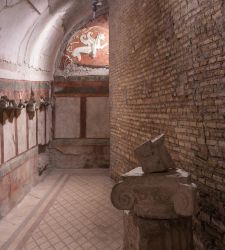 Colosseum Park, House of the Gryphons opens to the public, also live in real time 