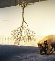 At MAXXI in Rome, an exhibition investigates St. Francis in contemporary art