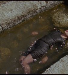 Biennial, Lithuania Pavilion translates archaeological research into sensory experience