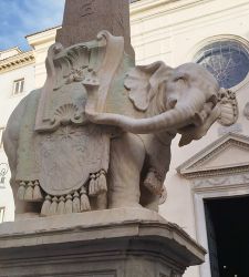 Rome, broken tusk of the elephant in Piazza della Minerva