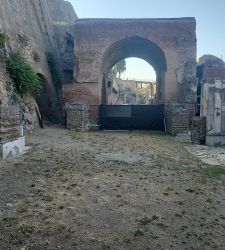 Herculaneum Reopens the Calcidico, the Augusteum&rsquo;s Monumental Porticoed Vestibule, After Twenty Years