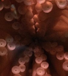 Young Italian Photography 2026: seven finalists under 35 selected for Luigi Ghirri Prize