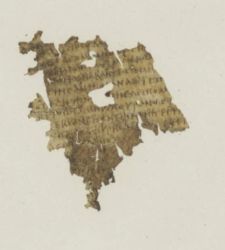 A fragment of the *Odyssey* dating from the 3rd or 4th century was discovered hidden in a library in Utrecht (Netherlands)