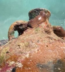 Greece, discoveries between Kasos and Karpathos: five Byzantine wrecks and anchors identified