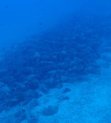 Griechenland: Auf Andros wurde ein antikes Schiffswrack mit &uuml;ber 600 Handelsamphoren entdeckt