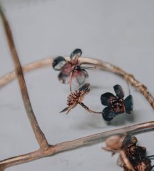 Pandolfini presents Julie Hamisky's "Alchemical Garden" at Design Week 2026