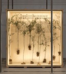 In Turin, archaeology and contemporary art tell the historical and cultural depth of Gaza