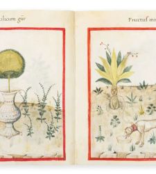 Rare 15th-century illuminated manuscript from Padua sold at TEFAF Maastricht for 5 million Swiss francs