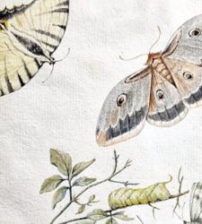 A rare 18th century manuscript enters the collections of the National Library of Naples