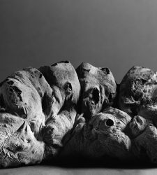 In Tricarico (Matera) 50 photographs by Luigi Spina tell the story of peasant culture, including land, work and bread