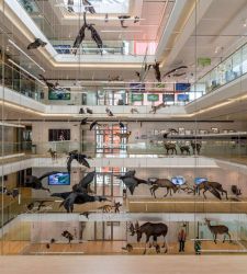 Il &ldquo;museo attivista&rdquo;, da tempio a motore sociale. Il pensiero di Michele Lanzinger 