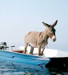 MAXXI 2026: un a&ntilde;o de exposiciones, arquitectura y regeneraci&oacute;n urbana