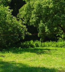 En Treviso, la exposici&oacute;n de Pascale Marthine Tayou entre identidad, geopol&iacute;tica y memoria