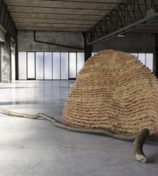 Spoleto: Palazzo Collicola Kicks Off the Summer of Art with Penone, Cioni, and Marignoli