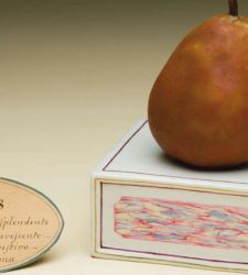 Le incredibili cere botaniche della Specola di Firenze: i frutti finti che stupirono il mondo