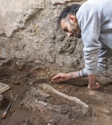 Pompeii, skeleton of an equid emerges in the Casti Amanti complex 