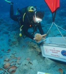 Turkey: Thousands of 2,100-Year-Old Pottery Shards Found in the Adrasan Shipwreck&mdash;They Were Headed for Rome