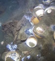 "Porcelain Wreck" Discovered in Norway: 18th-Century Treasure Found at a Depth of 600 Meters