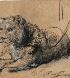 Rembrandt, a record-breaking lion: it is his most valuable drawing ever sold at auction