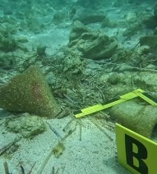 Lampedusa: Archaeological artifacts recovered from the seabed; research begins