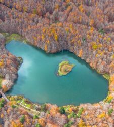 Views of the Landscape: At the Pilotta in Parma, 60 Photographs Depict the Protected Landscapes of Emilia-Romagna