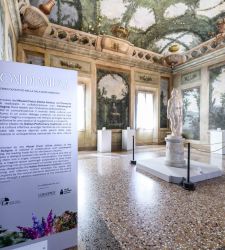 Art and perfumery meet in Bologna: olfactory path created for Boschereccia Hall