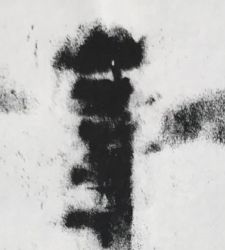 An exhibition in Venice on St&eacute;phane Dub&eacute;'s painting of insects and snakes