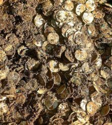 Finland's Largest Viking Silver Treasure in the Country's History Discovered