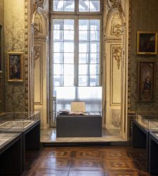 At Palazzo Madama, the 18th-century garden is brought to life through drawings, engravings, and botanical illustrations