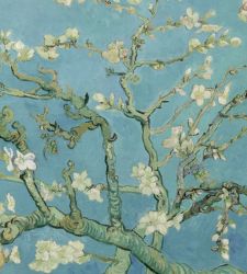 La primavera come stato d'animo: quando anche noi ricominciamo a fiorire