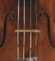 Stradivari selected high-altitude wood from the alpine forests of Val di Fiemme for his violins 