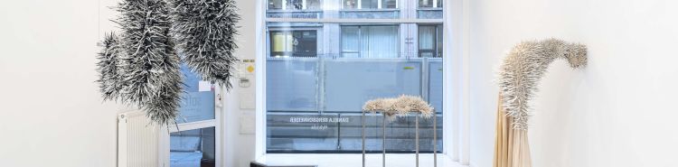 Sculture che respirano e tattilit&agrave; visiva: il mondo ibrido di Daniela Bergschneider