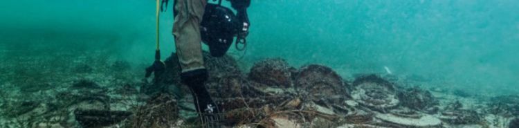 Svizzera: il lago di Neuch&acirc;tel restituisce un carico romano perfettamente conservato