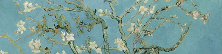 La primavera come stato d'animo: quando anche noi ricominciamo a fiorire